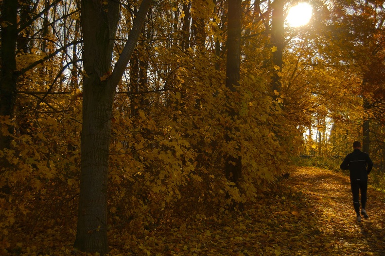 Läufer im Herbst.jpg