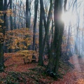 Herbstlichter-08.jpg