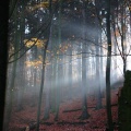 Herbstlichter-09.jpg