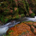 Wasserlauf Silberbachtal