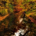Wasserwege im Herbst.jpg