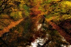 Wasserwege im Herbst