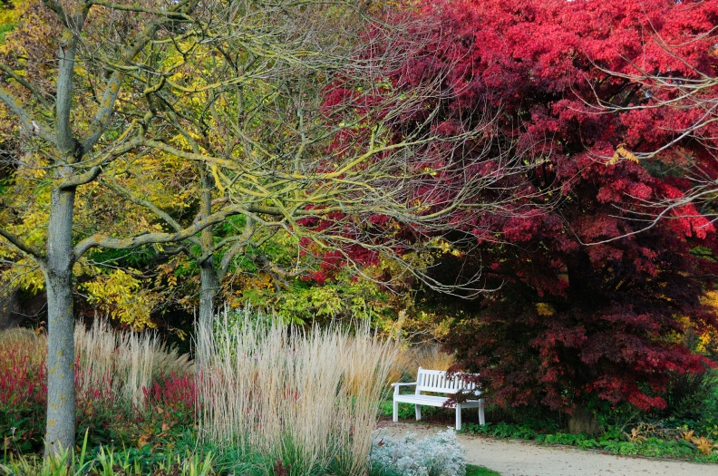 Herbstfarben Botanischer Garten.jpg