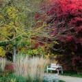 Herbstfarben Botanischer Garten
