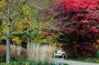 Herbstfarben Botanischer Garten