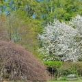 Botanischer Garten Frühjahr