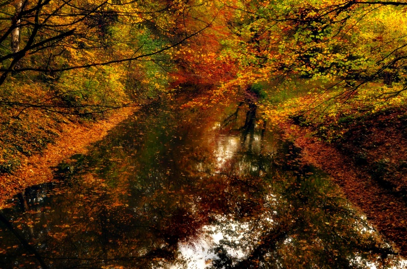 Dalke Herbstfarben.jpg