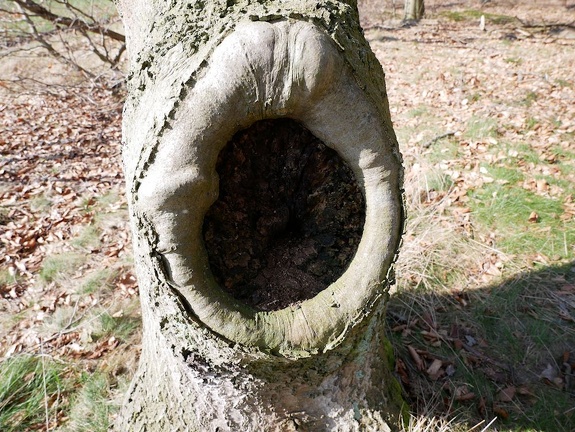 Unterschlupf