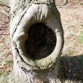 Unterschlupf