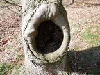 Unterschlupf