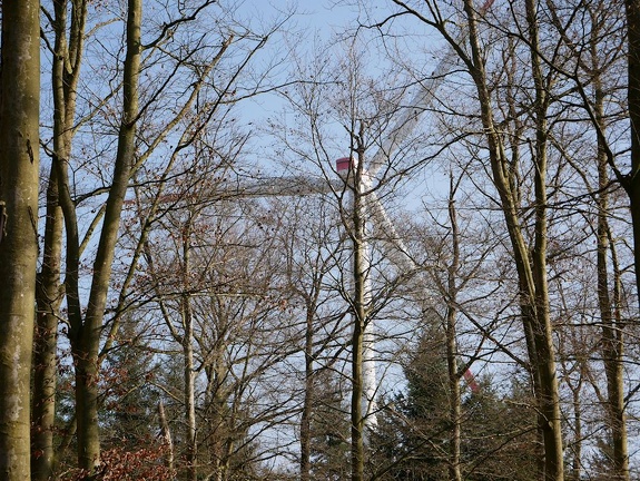 Mittendrin