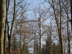 Mittendrin